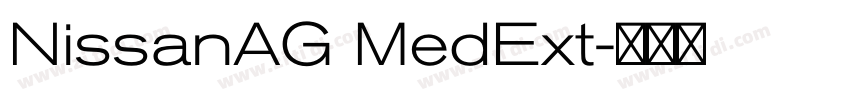 NissanAG MedExt字体转换